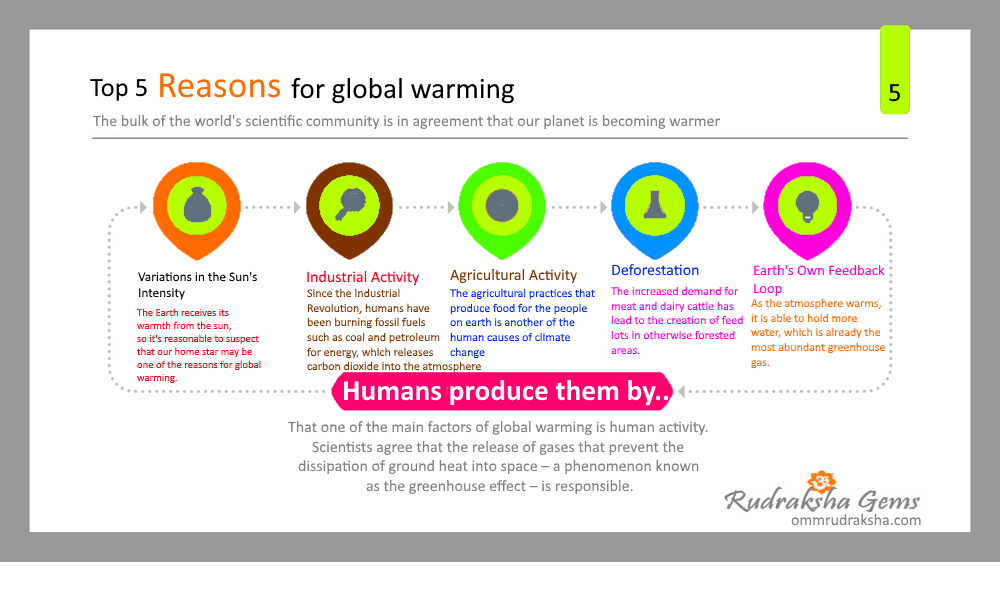top_5_reason_for_global_warming_infographic