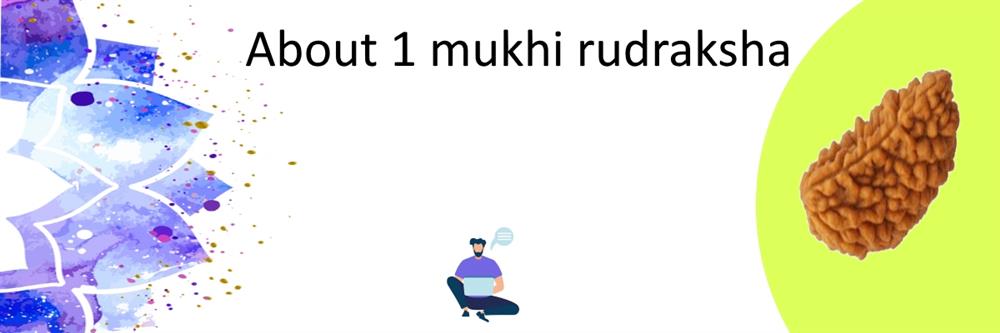 About 1 mukhi rudraksha
