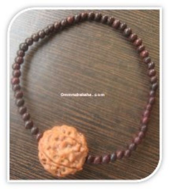 4-mukhi-rudraksha-bracelet
