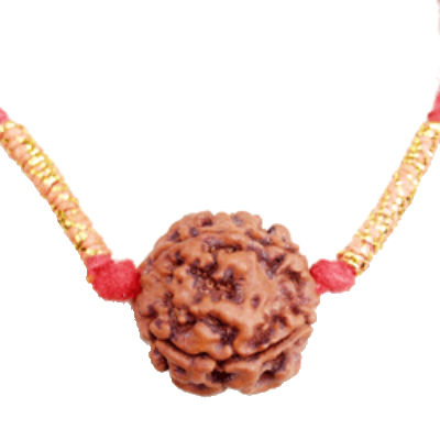 Rudraksha for Health and Energy Mala 3 Mukhi and 5 Mukhi Ayurvedic Vitality