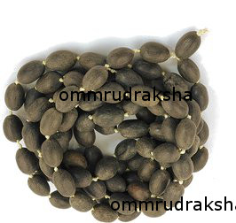 Detailed Bead Alignment in Authentic Siddha Mala Scriptural Arrangement