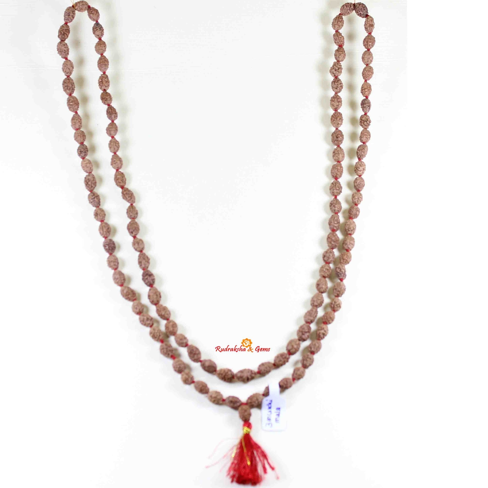 3 Mukhi Rudraksha Bead Lord Agni Mars Mangal Rashi Mesha Vrishchika