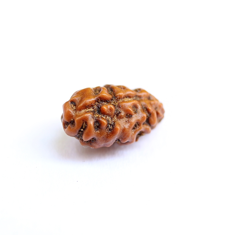 1 Mukhi Rudraksha Pendant Pure Silver Capping Vedic Protective Talisman