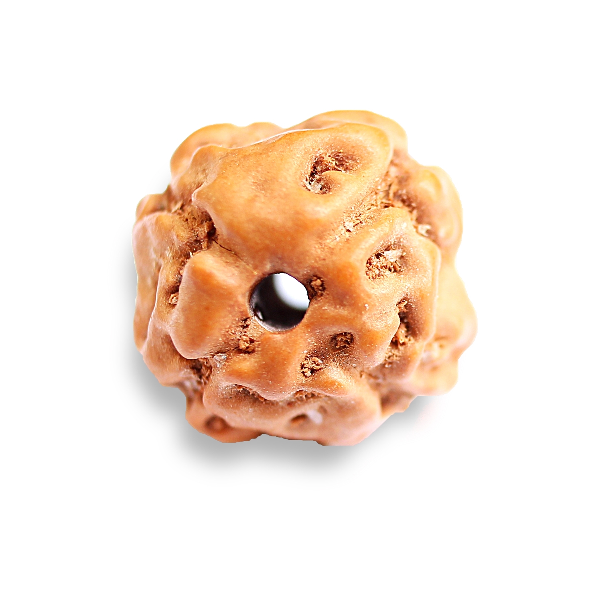 4 Mukhi Rudraksha Lord Brahma Mercury Budh Gemini Virgo Intellectual Clarity