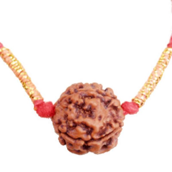 Picture of Rudraksha for Health and Energy