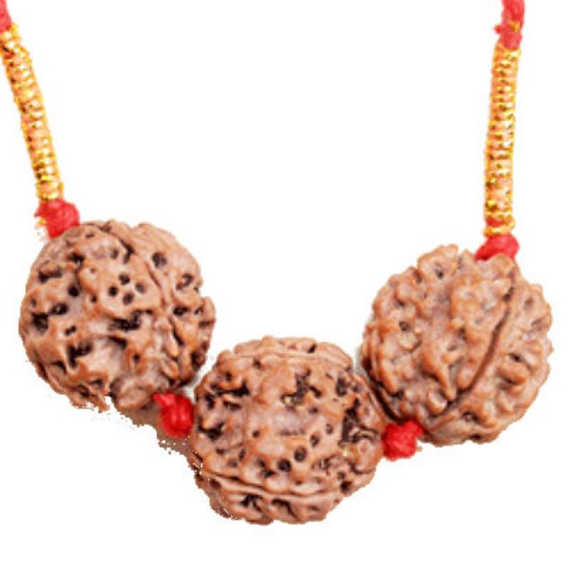 Picture of Rudraksha for Intelligence/Interest - 1