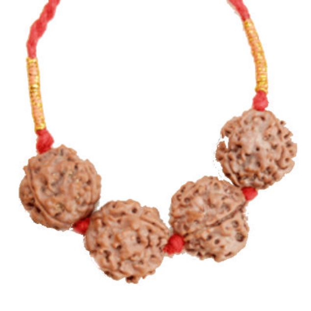 Picture of Rudraksha for Intelligence/Interest - 2