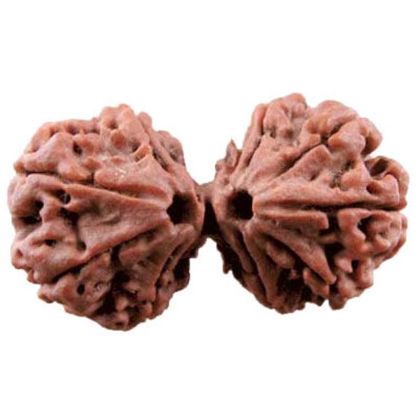 Picture of Gauri Shankar Nepal