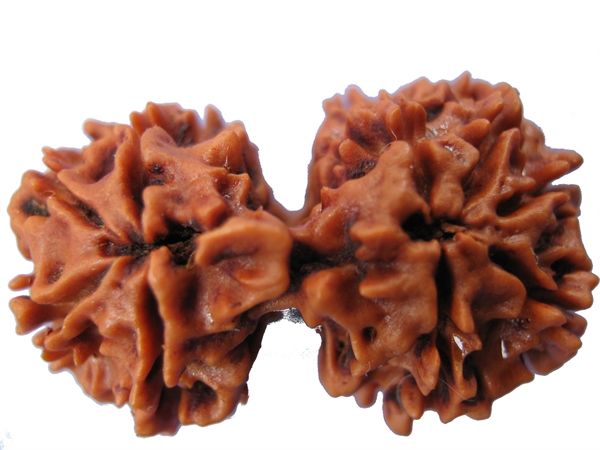 Picture of Gauri Shankar Nepal