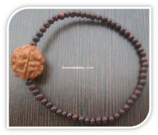 Picture of 3 mukhi Rudraksha bracelet