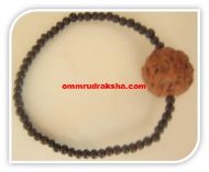 Picture of 6 mukhi Rudraksha bracelet