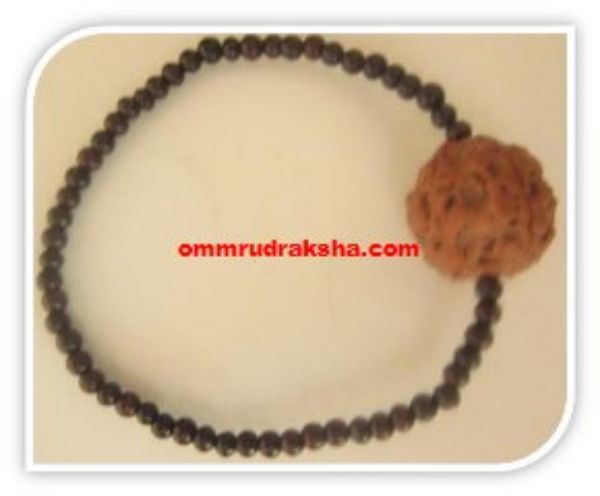 Picture of 6 mukhi Rudraksha bracelet