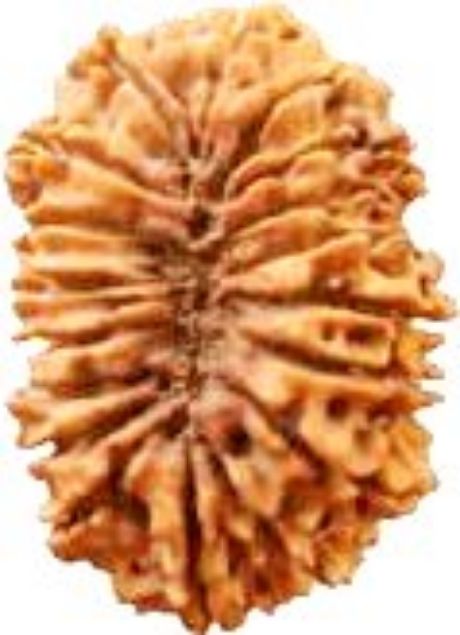 Picture of 18 mukhi Nepali