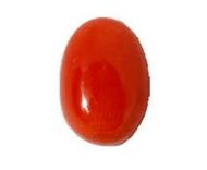 Picture of Red Coral