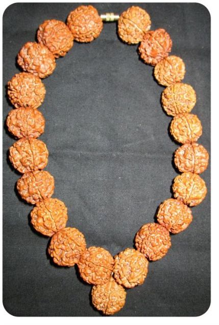 Picture of Neckfit 5mukhi Rudraksha mala