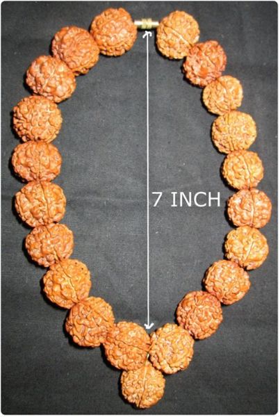 Picture of Neckfit 5mukhi Rudraksha mala
