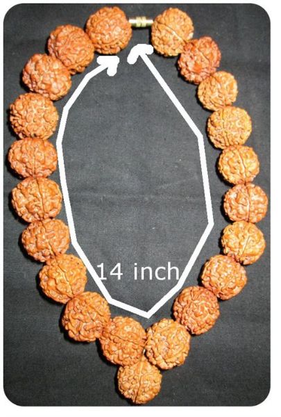 Picture of Neckfit 5mukhi Rudraksha mala