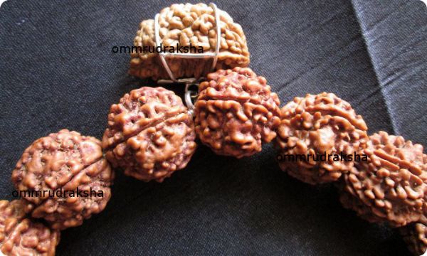 Picture of Siddhi mala 1