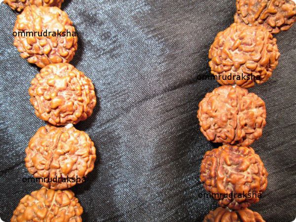 Picture of Siddhi mala 1