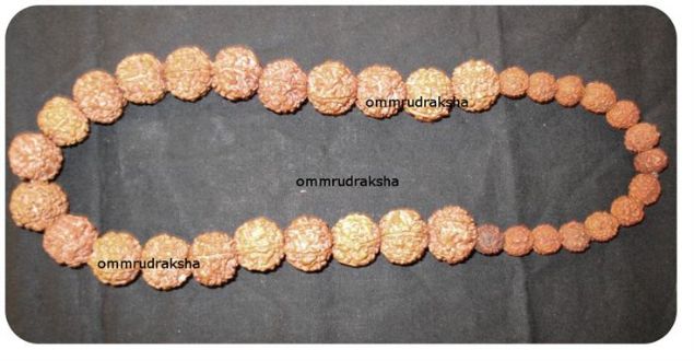 Picture of Rudraksha necklace 5 mukhi