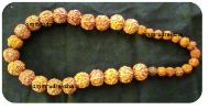 Picture of Rudraksha necklace 5 mukhi