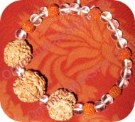 Picture of Triple bead rudraksha bracelet 1