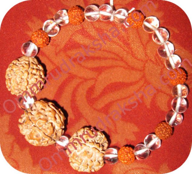 Picture of Triple bead rudraksha bracelet 1