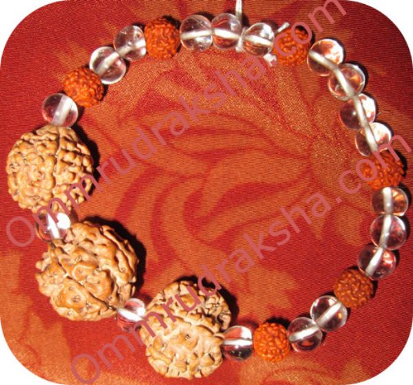 Picture of Triple bead rudraksha bracelet 1