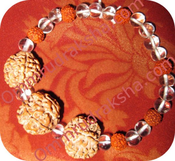 Picture of Triple bead rudraksha bracelet 1