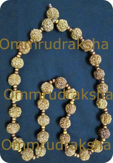Picture of 6 Mukhi nepali Rudraksha Mala 