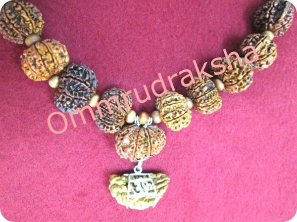 Picture of Sidha mala (Nepali)