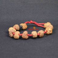 12 mukhi bracelet