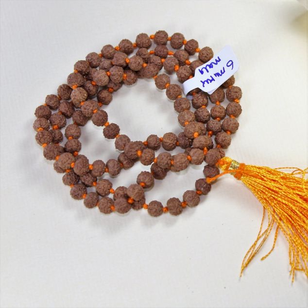 6 mukhi rudraksha mala