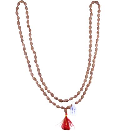 3 mukhi rudraksha mala