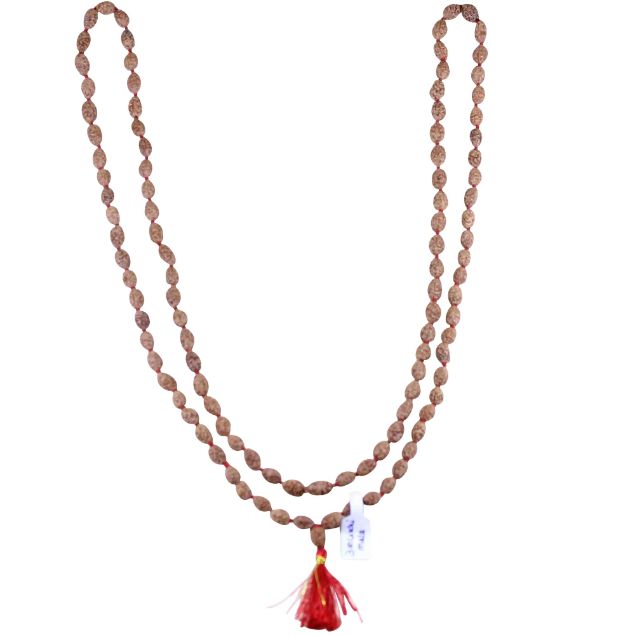 3 mukhi rudraksha mala