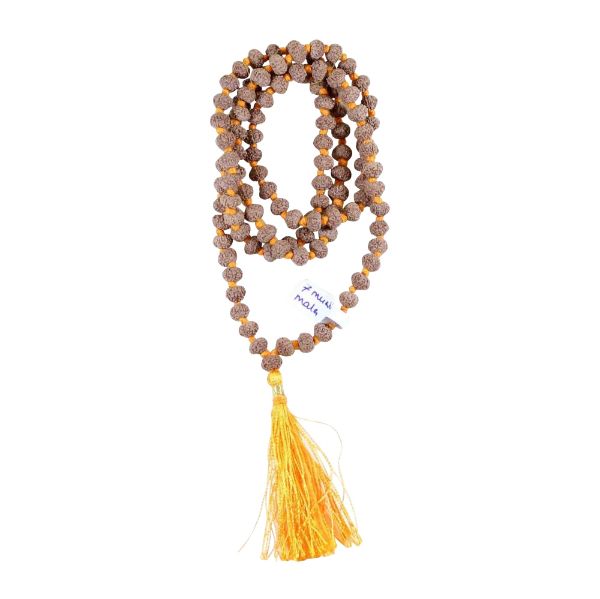 seven mukhi rudraksha mala