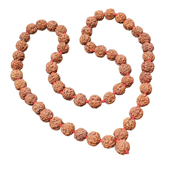 four mukhi rudraksha mala