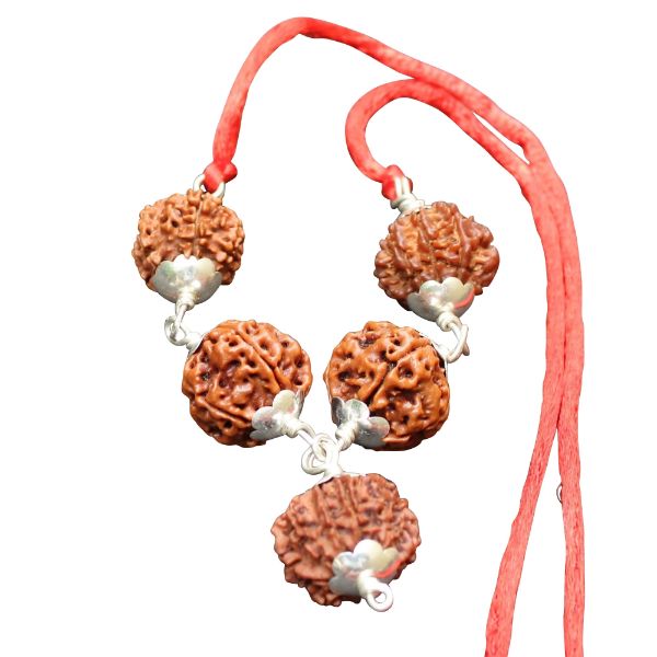 prosperity mala rudraksha