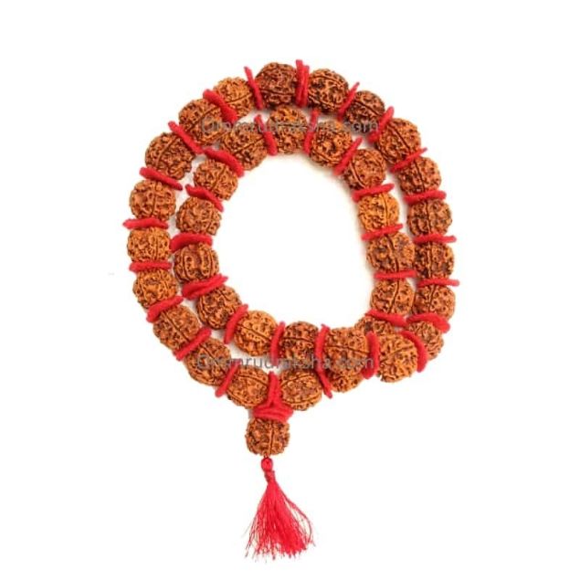 6 mukhi rudraksha kantha