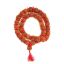 6 mukhi rudraksha kantha