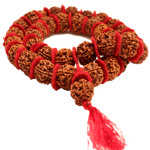 5 mukhi kantha rudraksha mala