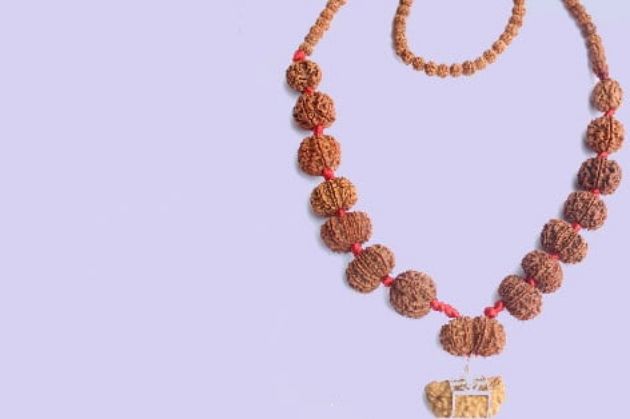 Picture for category Rudraksha Mala