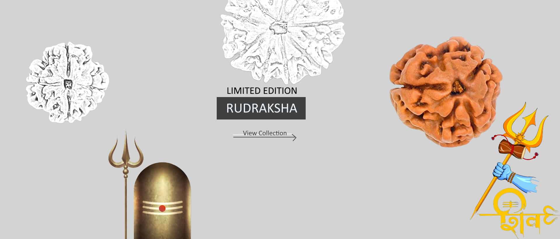 9 Mukhi Rudraksha Benefits, Powers and Significance | Rashi Ratan Bhagya