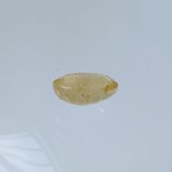 Yellow Sapphire - 7.22 carats