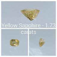 Yellow Sapphire - 1.73 carats