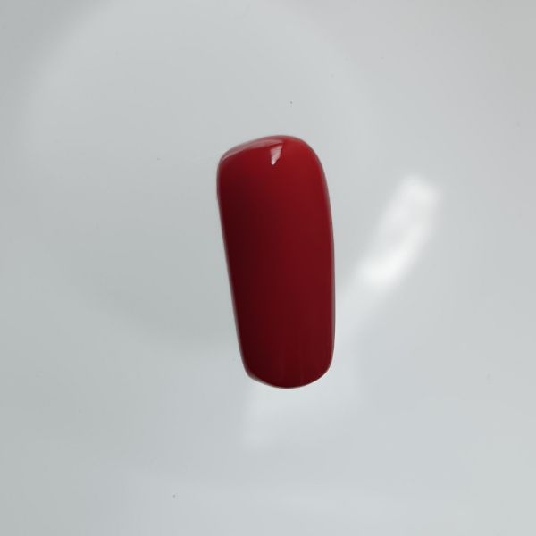 Red Coral Italian 6.19 carats