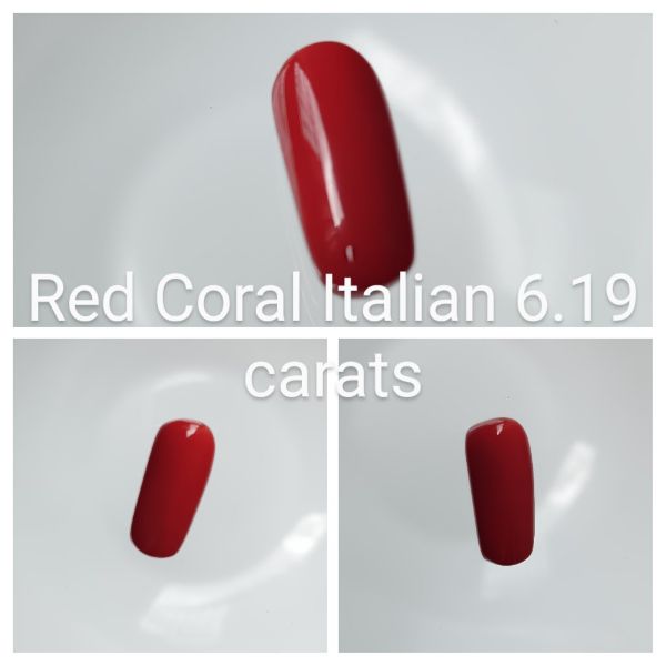 Red Coral Italian 6.19 carats