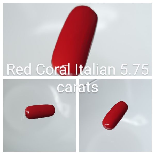 Red Coral Italian 5.75 carats