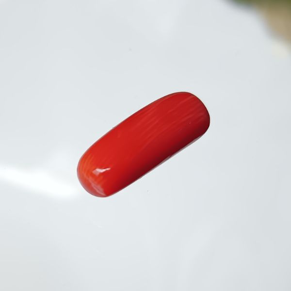 Red Coral Italian 5.75 carats