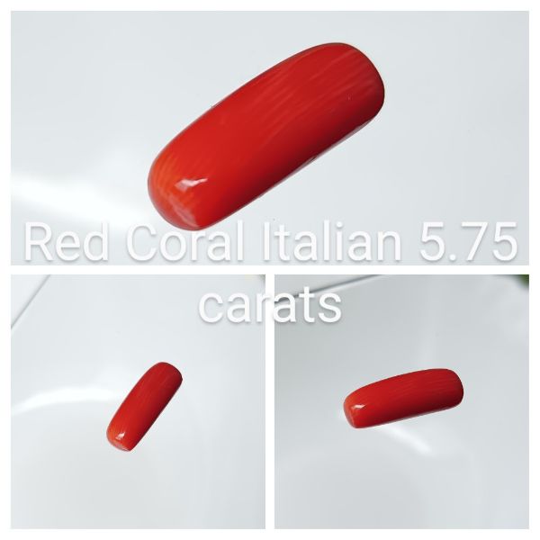 Red Coral Italian 5.75 carats